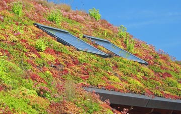 Kittwhistle living roof systems