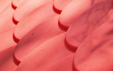 Kittwhistle plastic roof costs