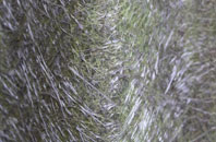 Kittwhistle fibreglass roof work